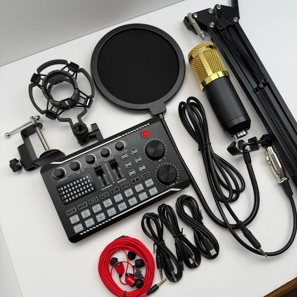 Professional Silver Condenser Microphone